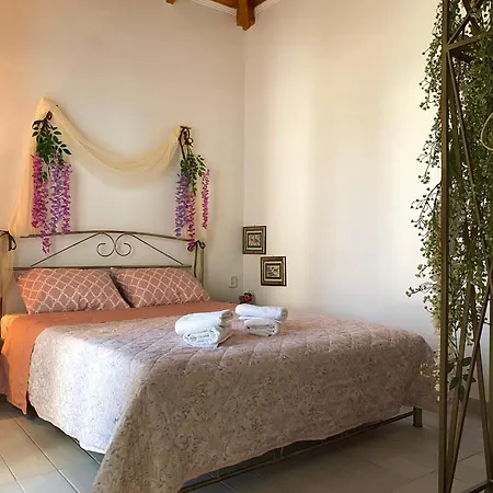 ο παραδεισος της νικολέτας Daire